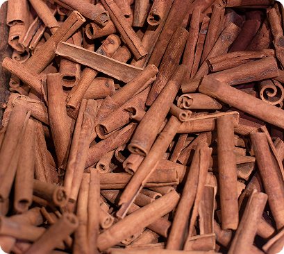 cinnamon sticks grocery stocks high quality photo 2